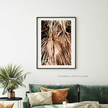 Load image into Gallery viewer, Dried Palm Leaves