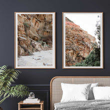 Load image into Gallery viewer, Bottlebrush Cliff