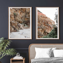 Load image into Gallery viewer, Driftwood Cliff