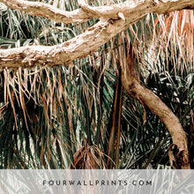 Load image into Gallery viewer, Salty Palms No.4