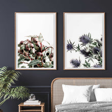 Load image into Gallery viewer, Pair of Prints : Gumnut &amp; Sea Holly