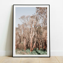 Load image into Gallery viewer, Aussie Bush