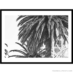 Luna Park Palm No.3 (B+W)