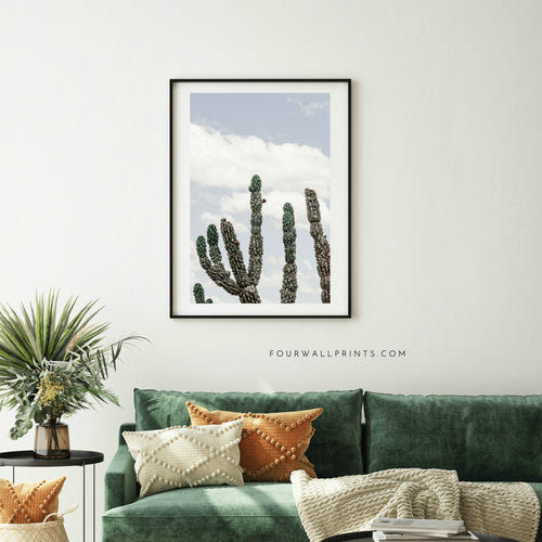 Cactus No.2