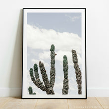 Load image into Gallery viewer, Cactus No.2