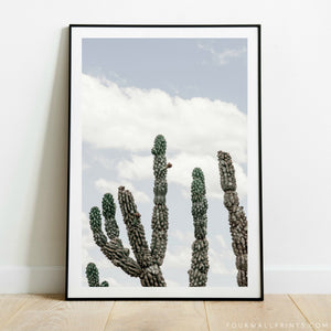 Cactus No.2