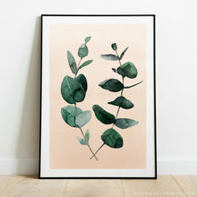 Load image into Gallery viewer, Eucalyptus Leaves
