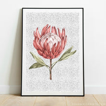 Load image into Gallery viewer, King Protea On Polka
