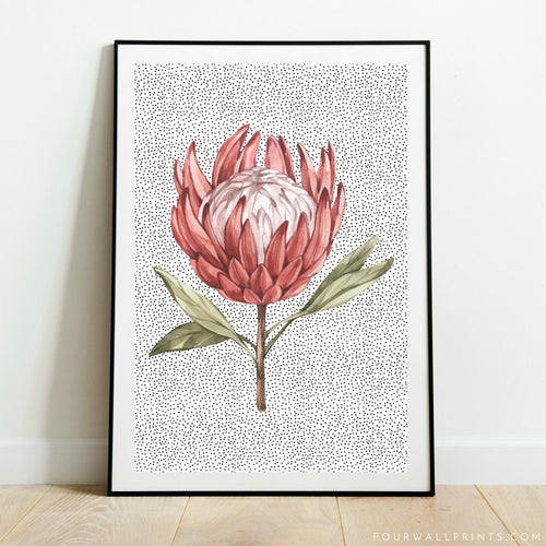 King Protea On Polka