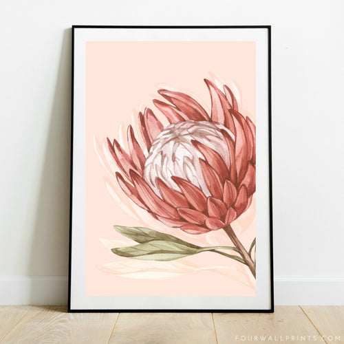 King Protea On Peach