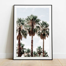 Load image into Gallery viewer, The Three Sisters (Palms) No.1