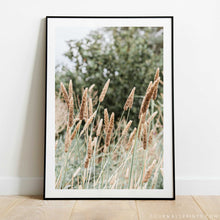 Load image into Gallery viewer, Grass No.1