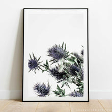 Load image into Gallery viewer, Sea Holly No.2