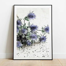 Load image into Gallery viewer, Sea Holly No.3