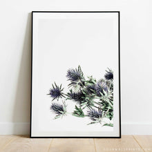 Load image into Gallery viewer, Sea Holly No.1