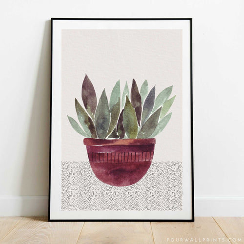 Tucson House Plant No.5