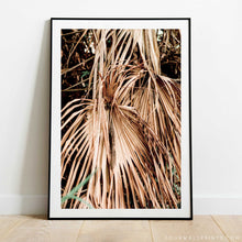 Load image into Gallery viewer, Dried Palm Leaves