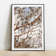 Load image into Gallery viewer, Paper Bark No.2