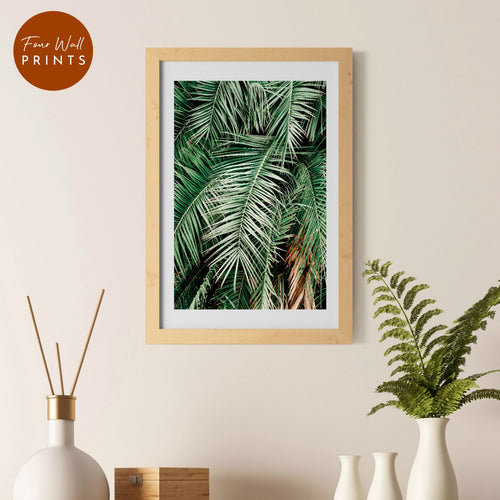 Palm Leaves No.1