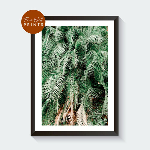 Palm Leaves No.2