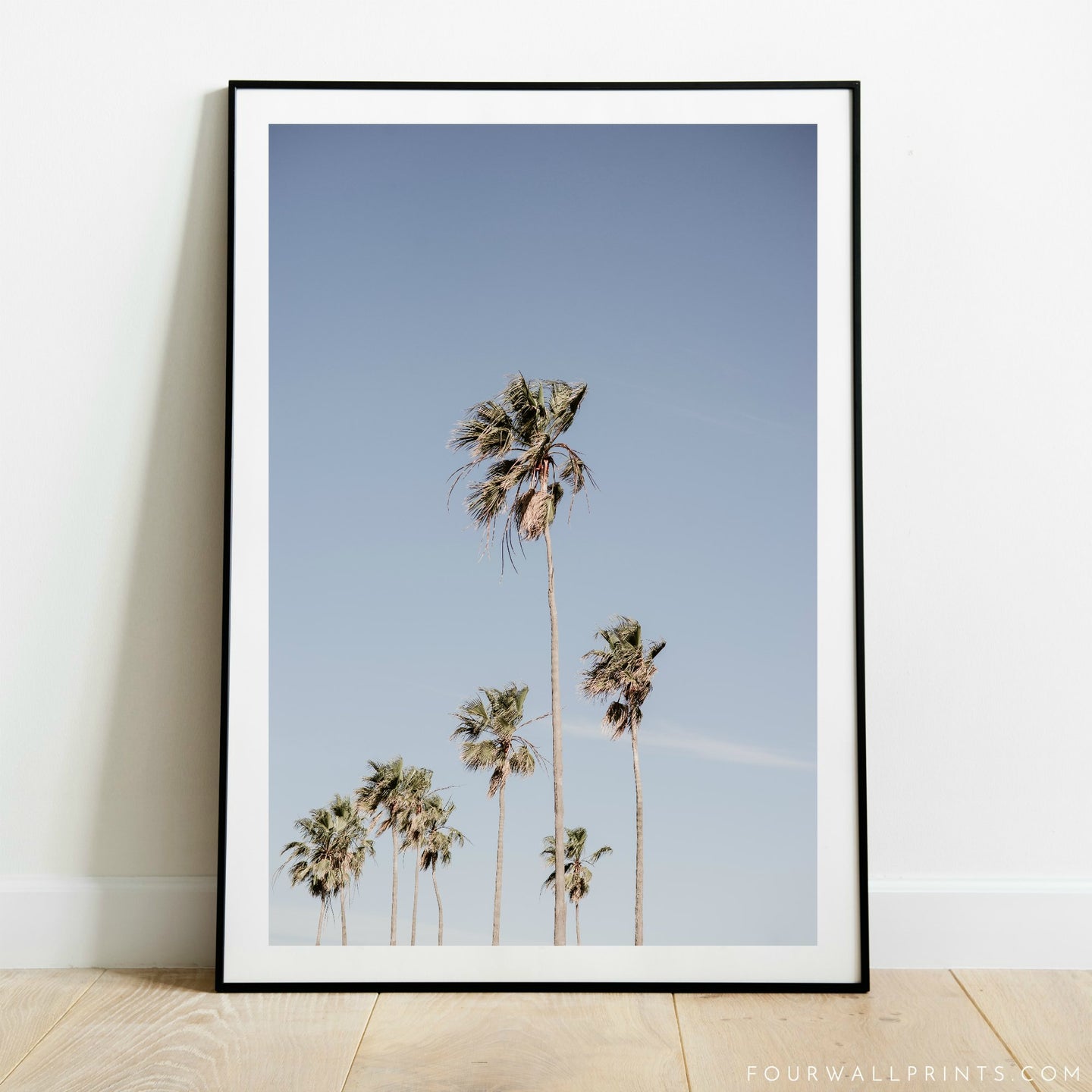 Nine Palms