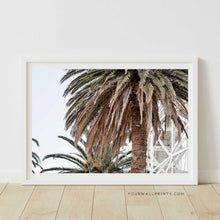 Load image into Gallery viewer, Luna Park Palm No.3
