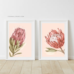 Protea On Peach