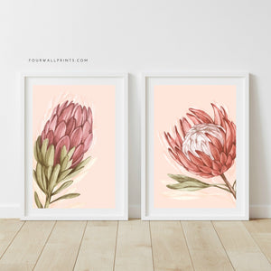 Pair of Prints : Proteas On Peach