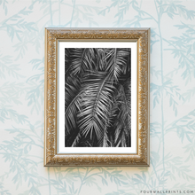 Load image into Gallery viewer, Palm Leaves No.1 (Black &amp; White)