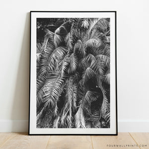 Palm Leaves No.2 (Black & White)