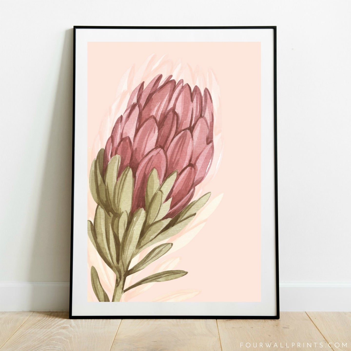 Protea On Peach