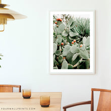 Load image into Gallery viewer, Prickly Pear #4