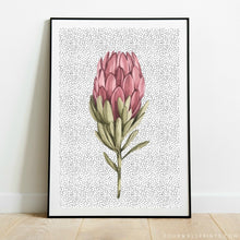 Load image into Gallery viewer, Protea On Polka