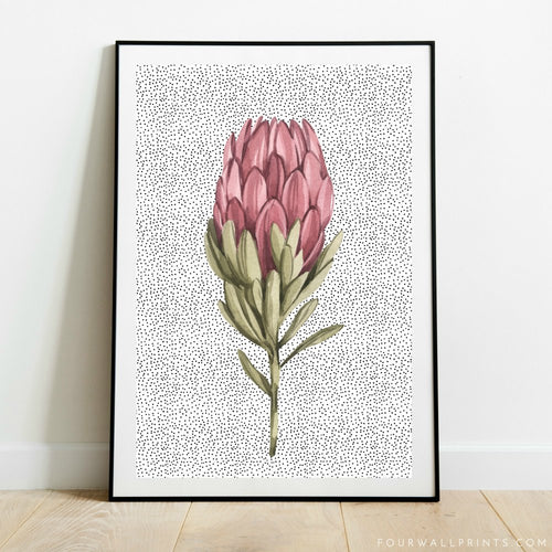 Protea On Polka