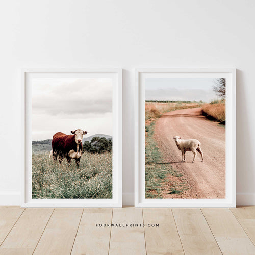 Pair of Prints : Ewe-Cow