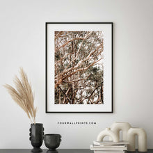 Load image into Gallery viewer, Paper Bark No.1