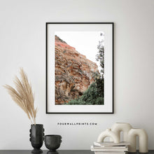 Load image into Gallery viewer, Bottlebrush Cliff
