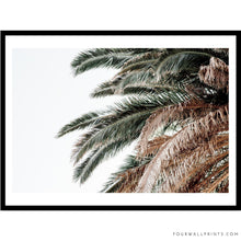 Load image into Gallery viewer, Sky Palm No.1