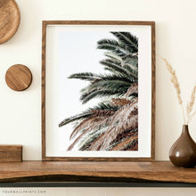 Load image into Gallery viewer, Sky Palm No.2