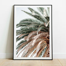 Load image into Gallery viewer, Sky Palm No.3
