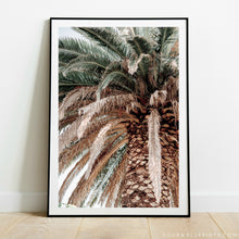 Load image into Gallery viewer, Sky Palm No.4