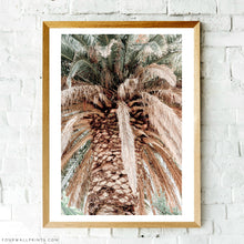 Load image into Gallery viewer, Sky Palm No.5