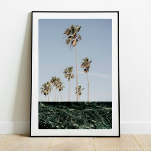Water Palms No.1