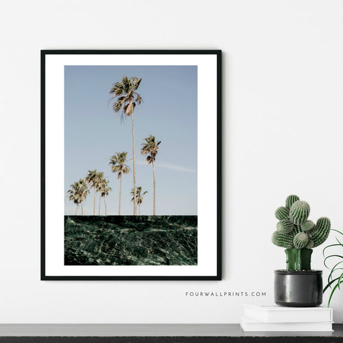 Water Palms No.1