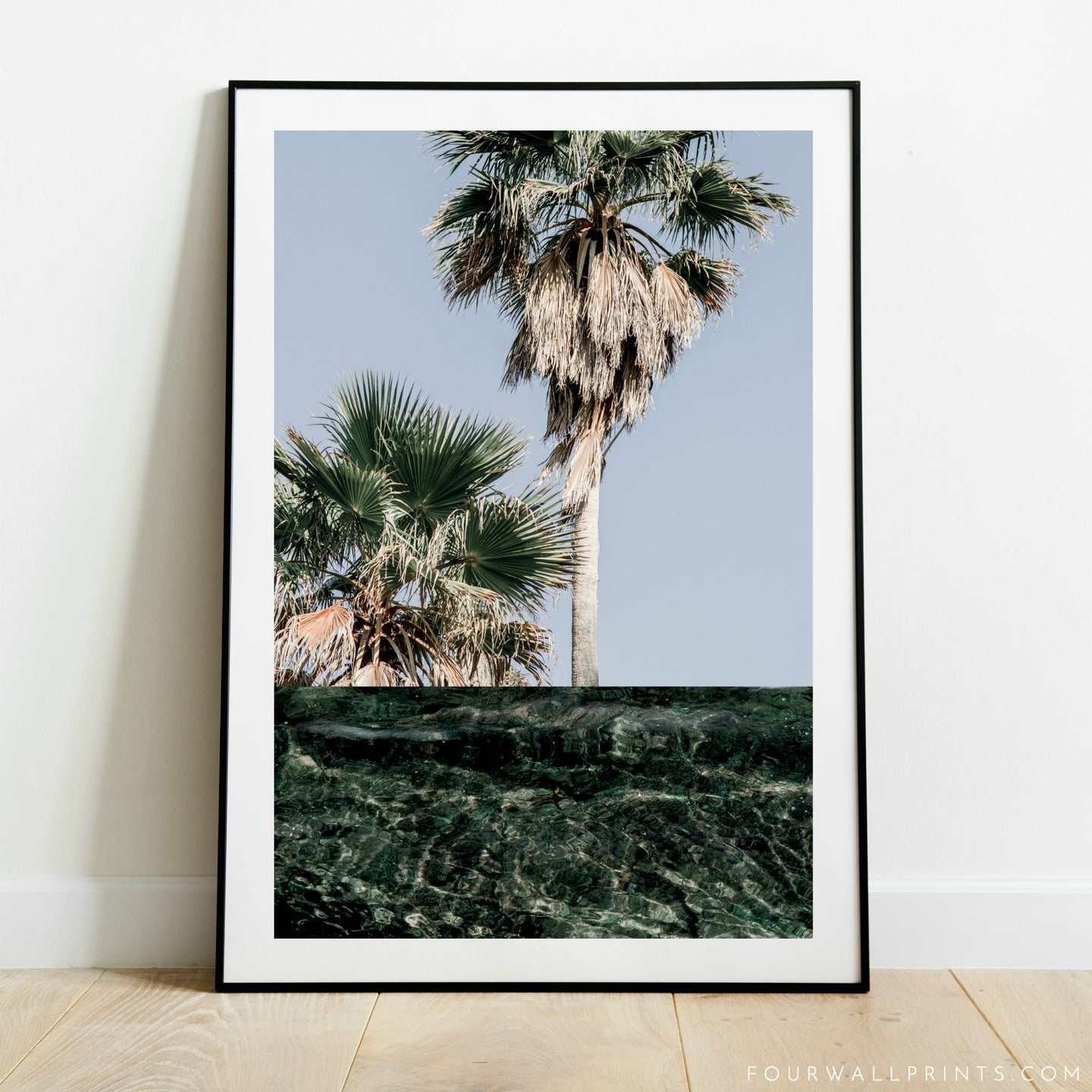 Water Palms No.2