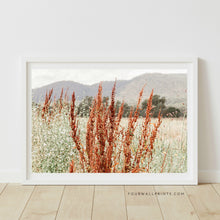 Load image into Gallery viewer, Wild Flowers No.2