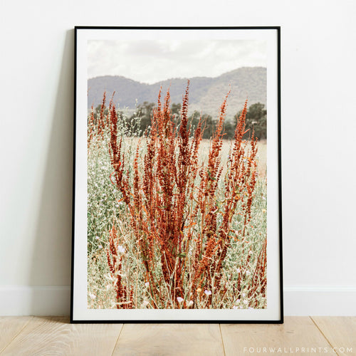 Wild Flowers No.3