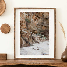 Load image into Gallery viewer, Driftwood Cliff